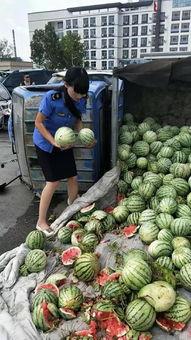 商丘吃瓜曝光事件视频最新