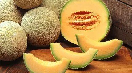 小孩给河马吃哈密瓜视频,哈密瓜盛宴温馨瞬间