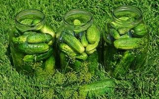 炒瓜吃中毒视频,食品安全不容忽视