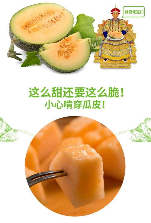 吃蜜瓜的很多视频大全在线观看,全网热门吃瓜视频大盘点