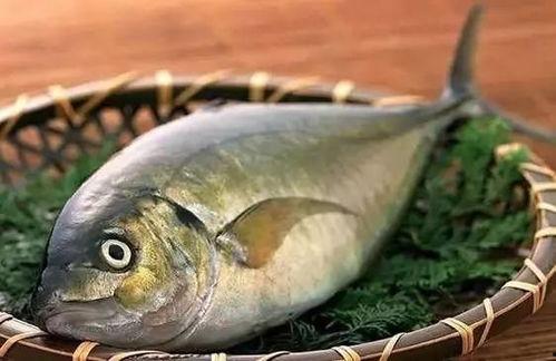 吃鱼再吃方瓜行吗视频讲解,鱼与方瓜同食的注意事项及健康指南