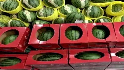 吃瓜群众女大学生视频,女大学生吃瓜视频引发热议