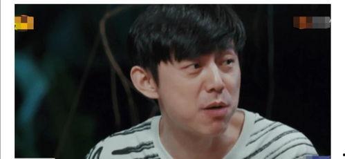 何老师黄磊吃瓜视频,娱乐圈幕后趣事大揭秘