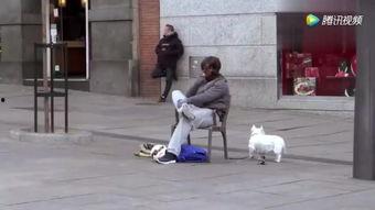 街头卖艺吃瓜视频,揭秘民间艺术魅力与市井生活百态