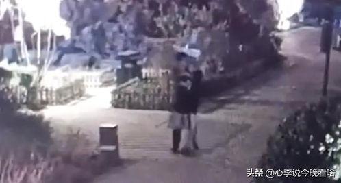 滑县吃瓜事件视频全集,揭秘背后真相与争议