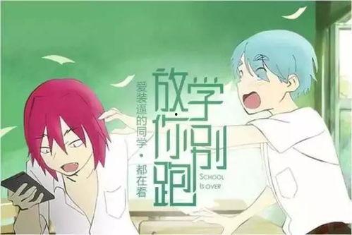 吃瓜讲故事视频,揭秘吃瓜视频背后的故事