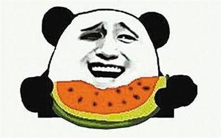 吃瓜群众口红视频,揭秘热门色号魅力