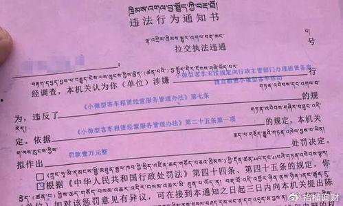 瓜哥吃瓜奇葩病例视频,揭秘那些令人瞠目结舌的奇葩病例