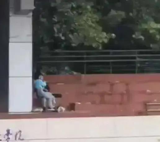 浙江校园吃瓜事件视频最新,视频揭露惊人真相,校园生活再掀波澜