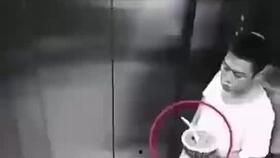 韩国饭店情侣吵架吃瓜搞笑视频,饭店吃瓜搞笑一幕引网友热议