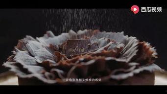 海角吃瓜视频,揭秘热门话题背后的真相与笑料