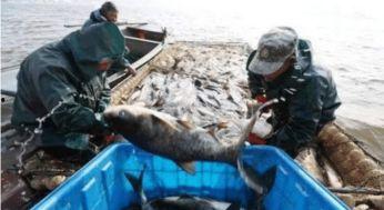 军演渔民吃瓜视频大全,揭秘军演背后的“吃瓜”瞬间