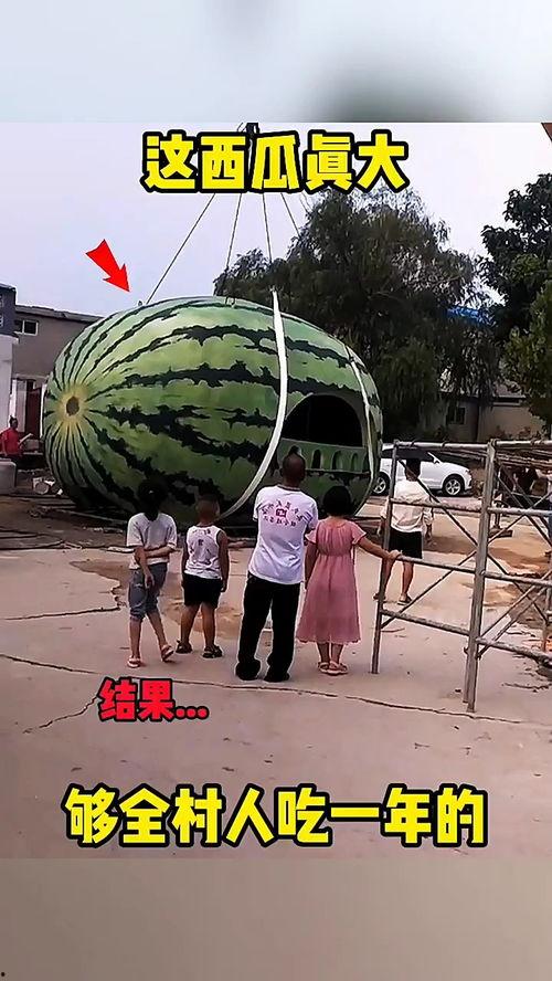 配音搞笑视频吃梨瓜,笑果连连，梨香四溢